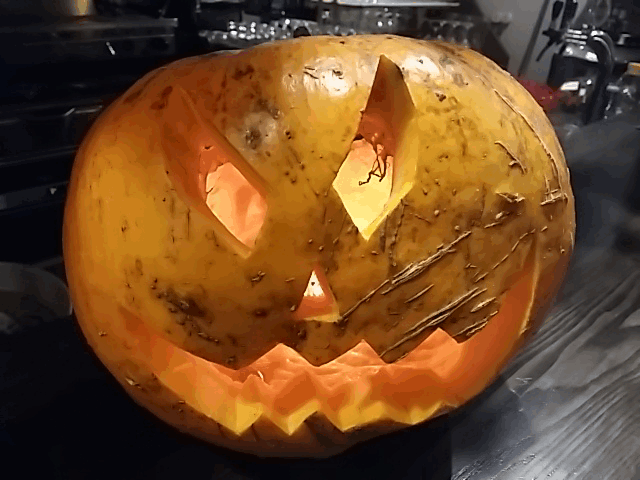 Zucca di Halloween.gif